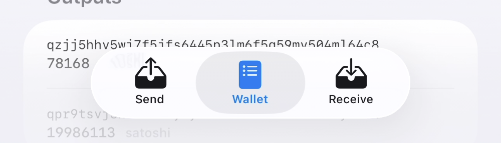 Opal Wallet segmented control with Wallet selected between Send and Receive.