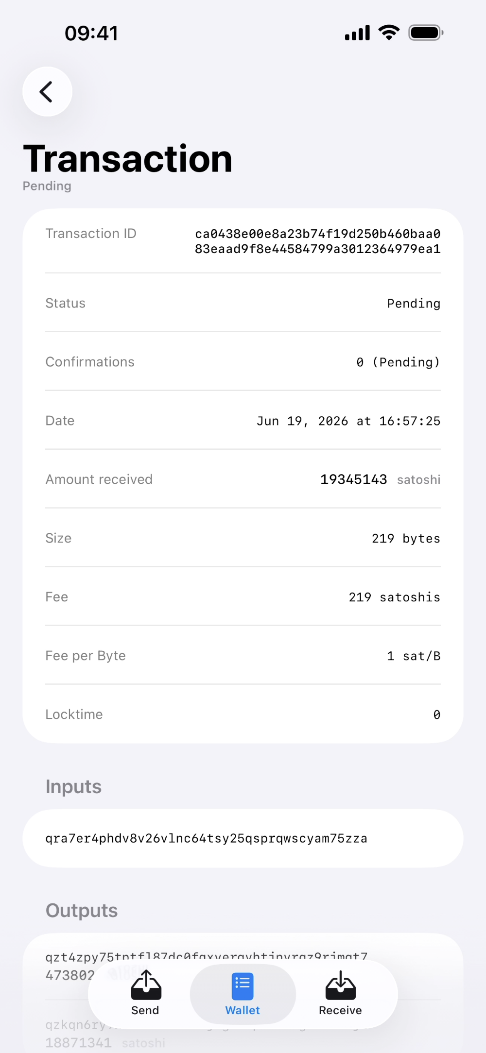 Opal Wallet pending transaction detail from send confirmation on iPhone